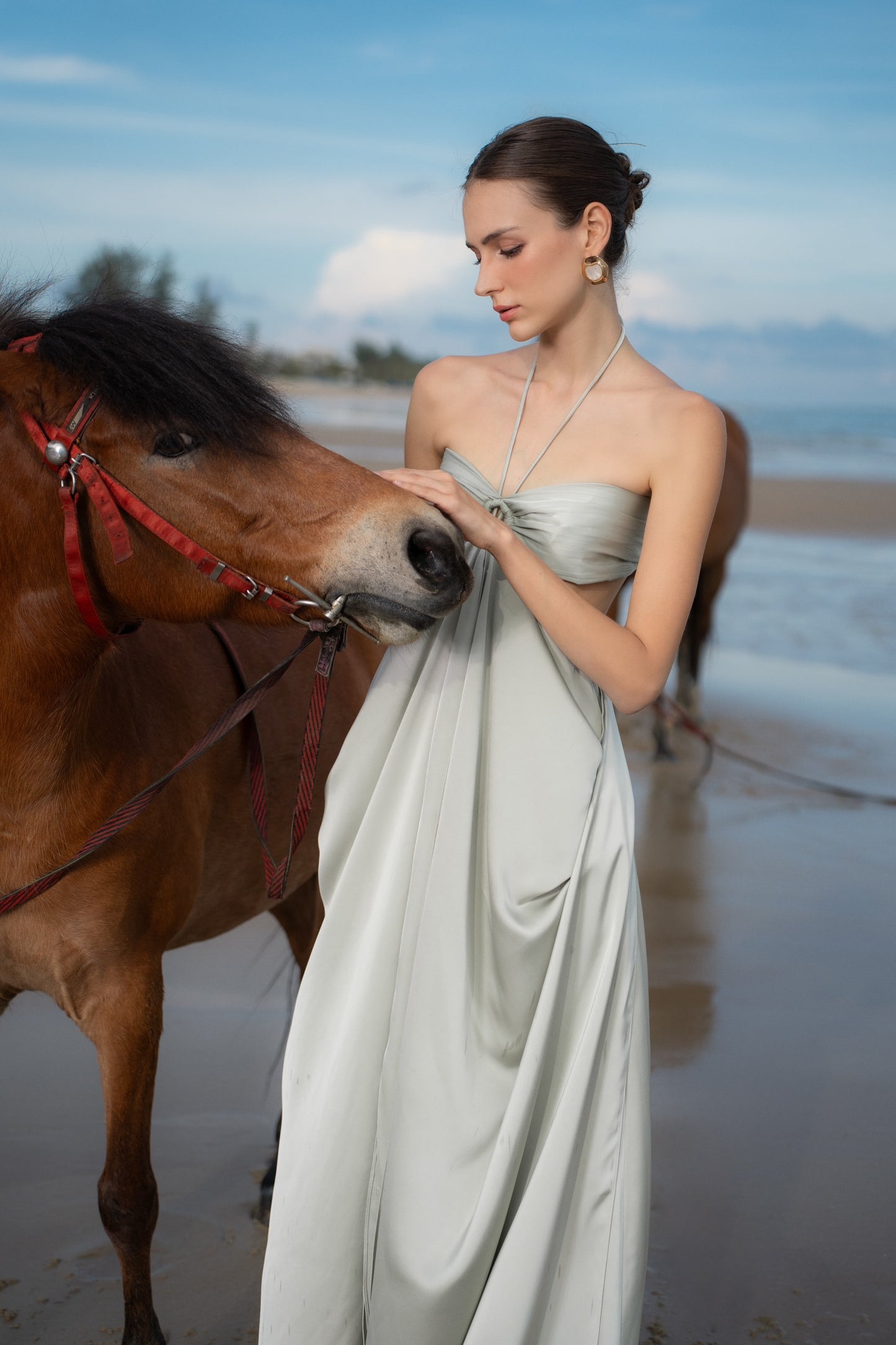 ISABELLA DRESS