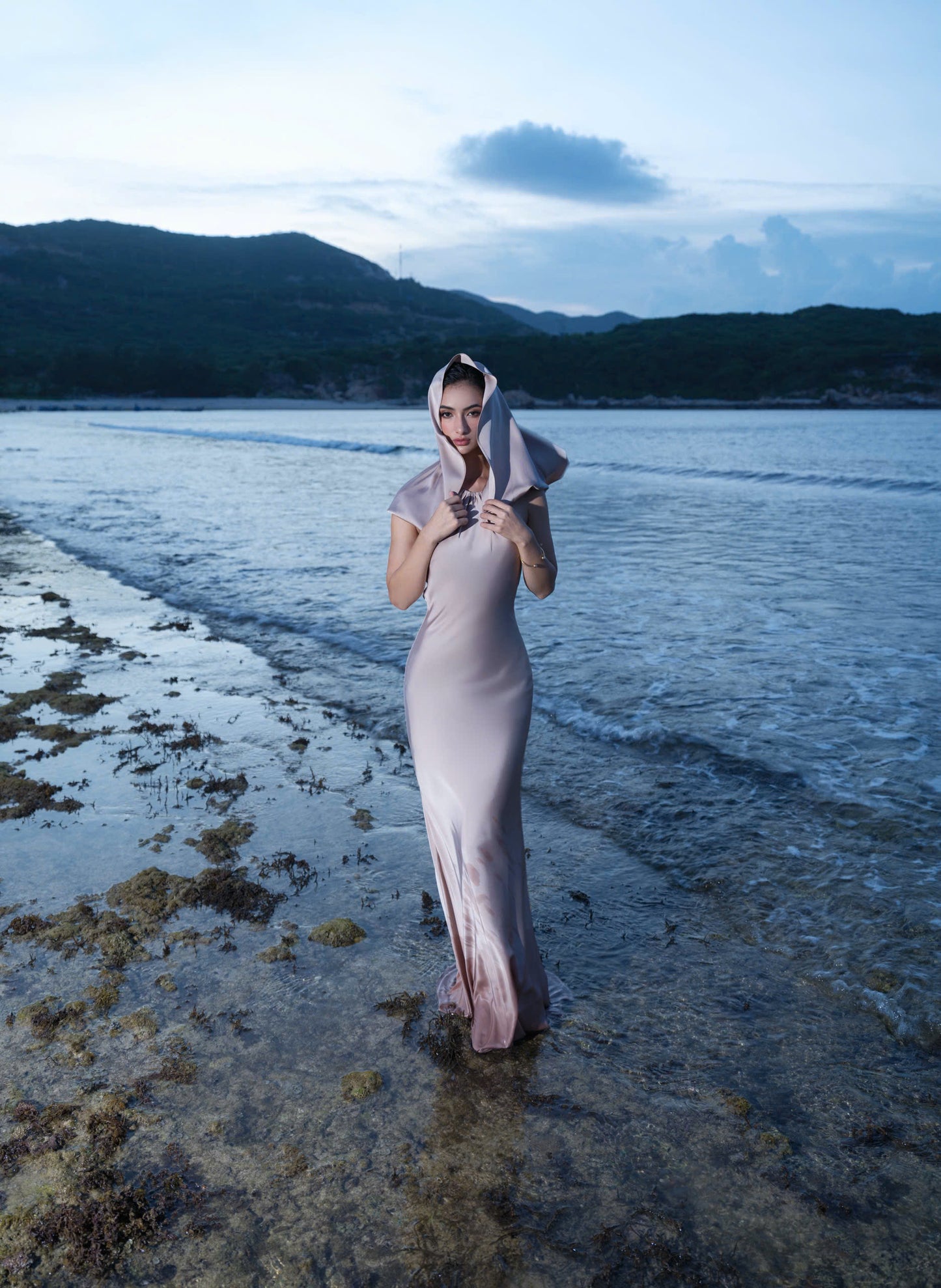 ARABELLA DRESS
