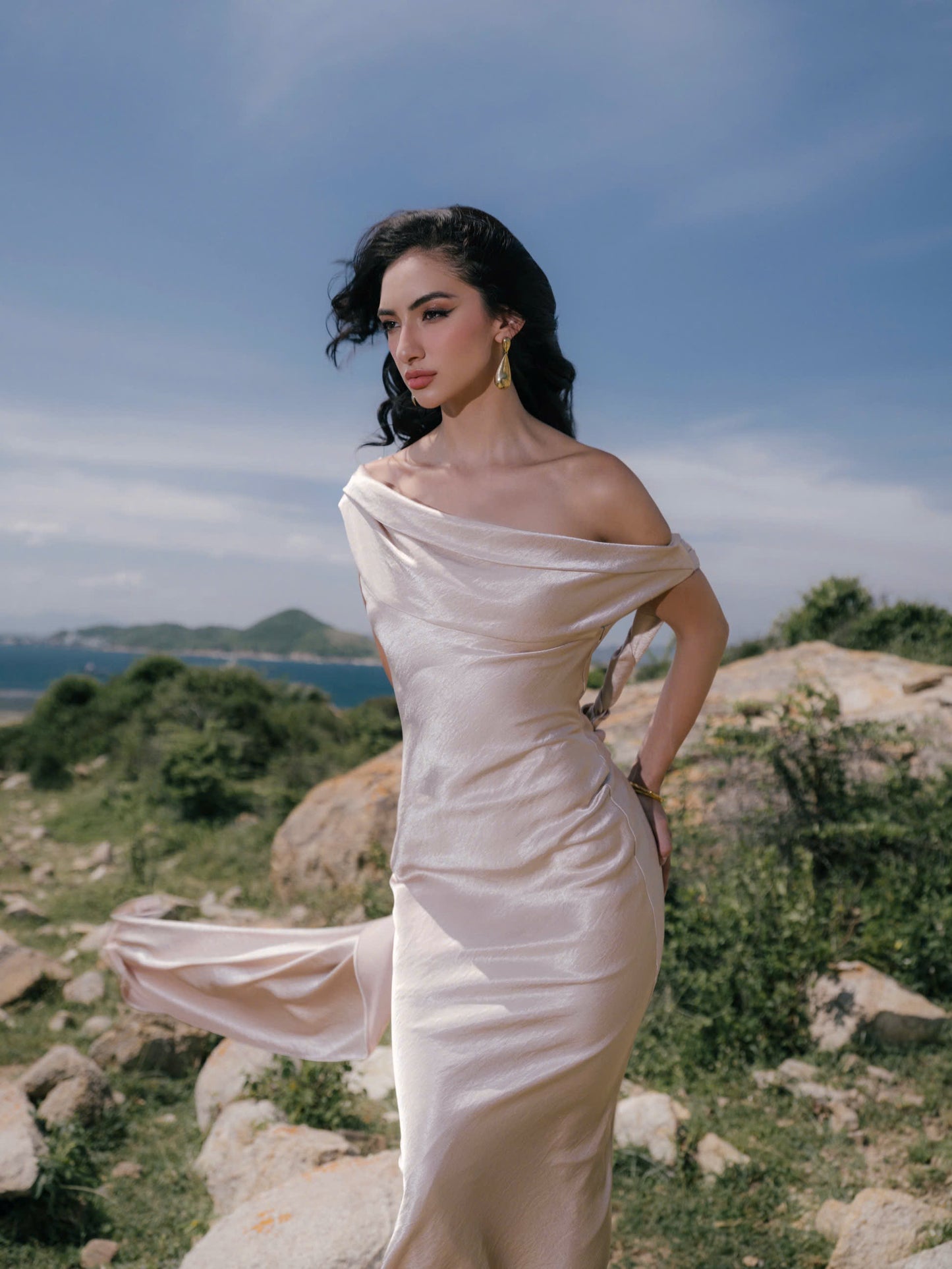 VIONNA DRESS