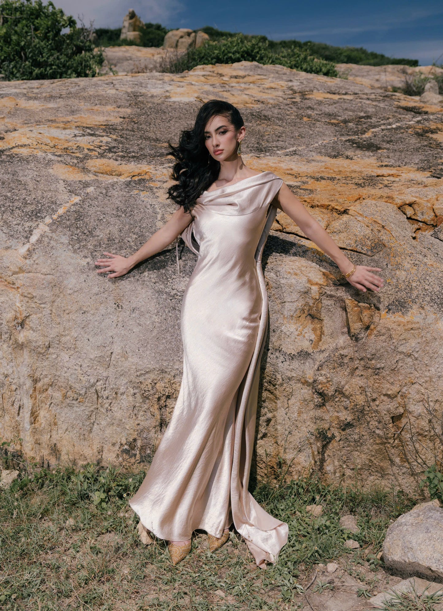 VIONNA DRESS