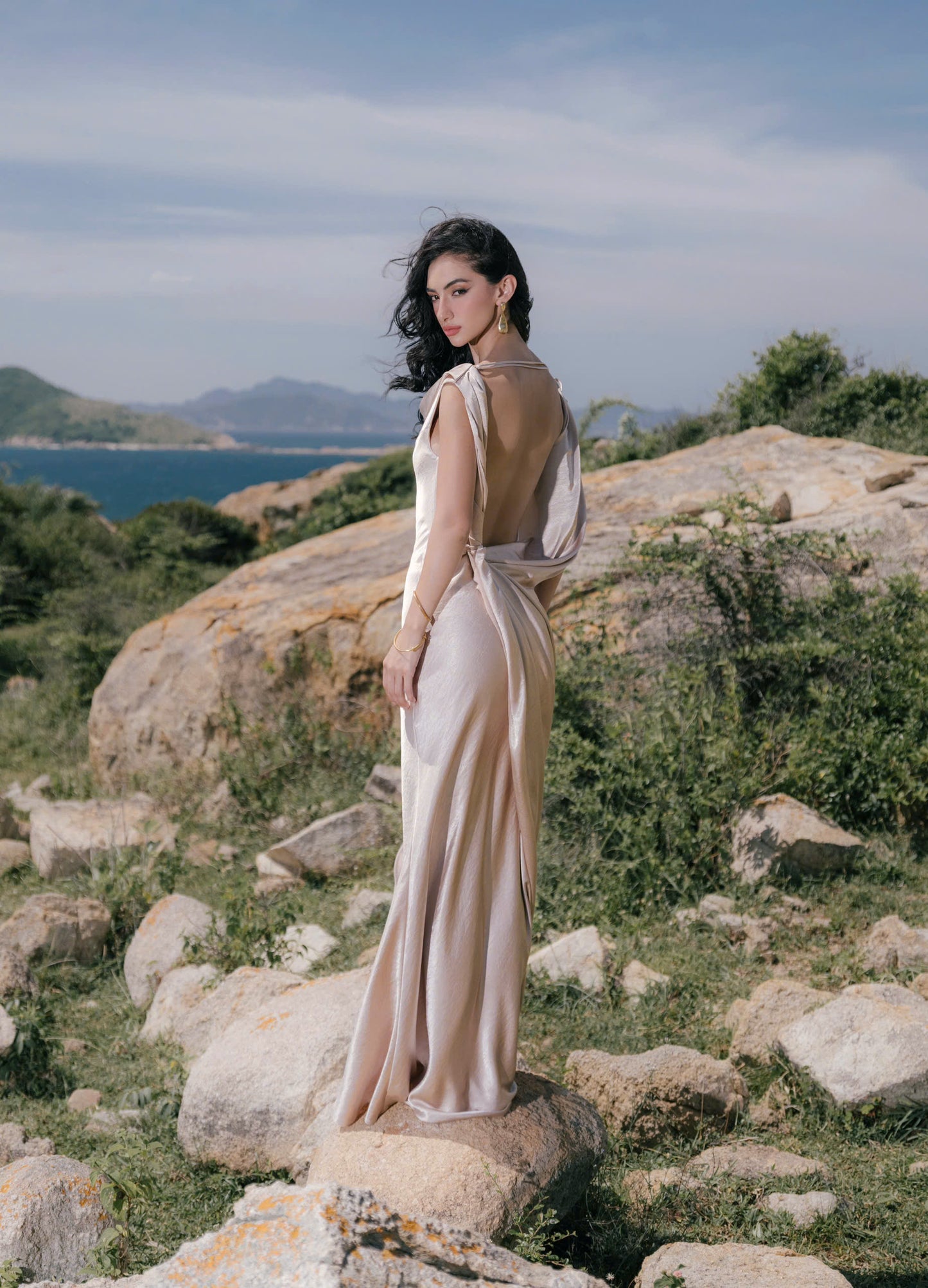VIONNA DRESS