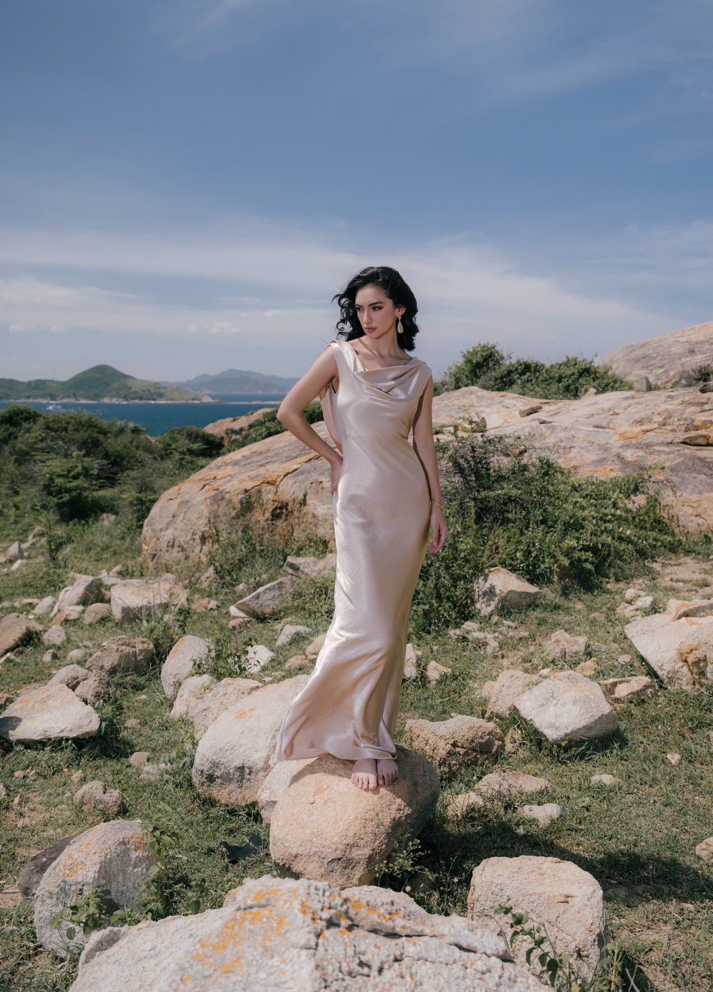 VIONNA DRESS