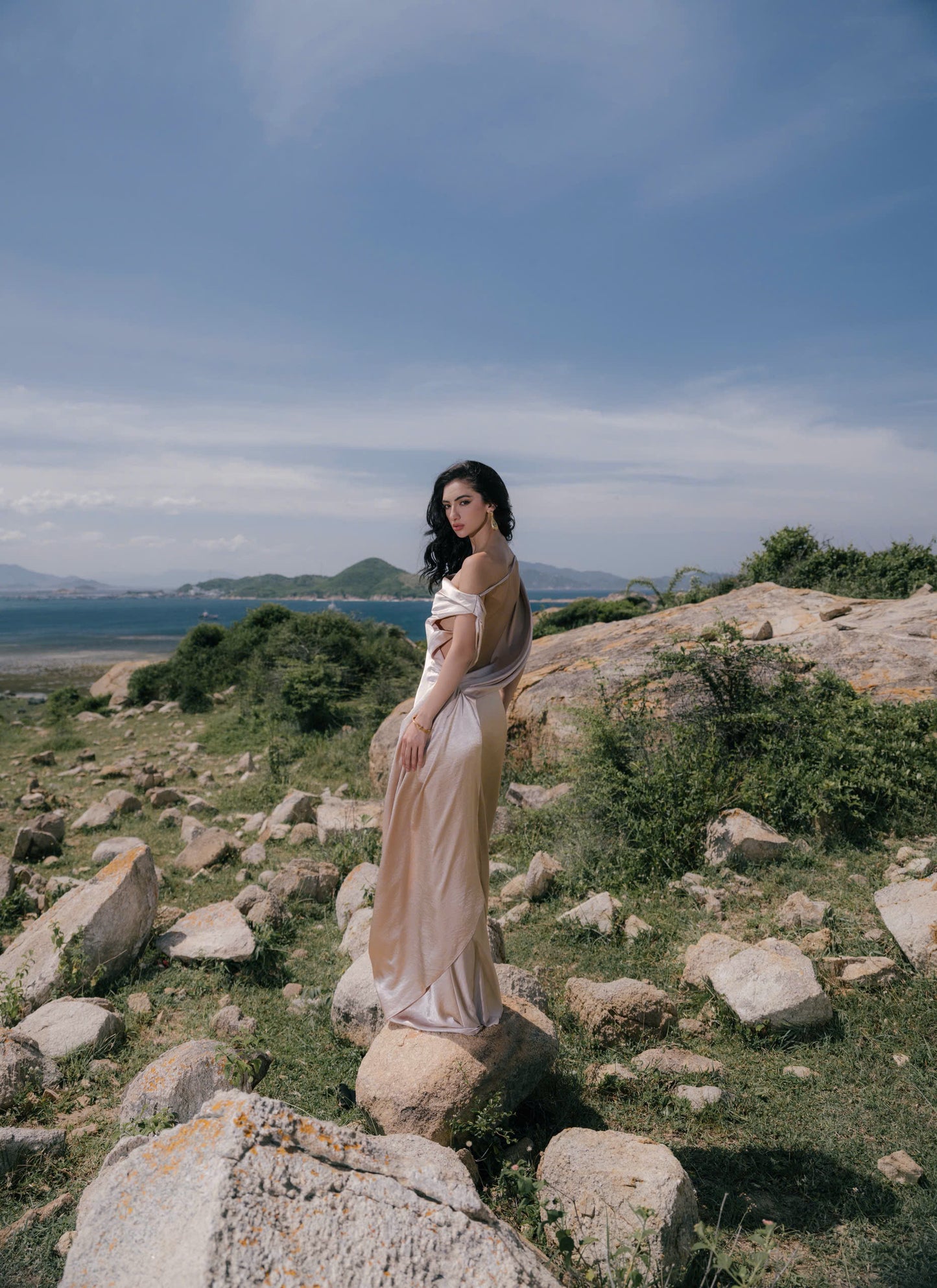 VIONNA DRESS