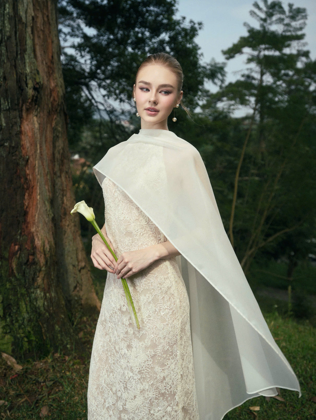 AVELIA LACE DRESS