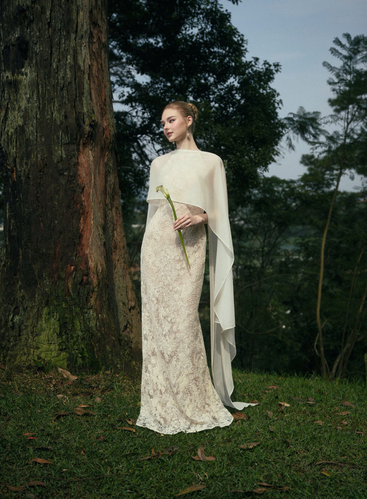 AVELIA LACE DRESS