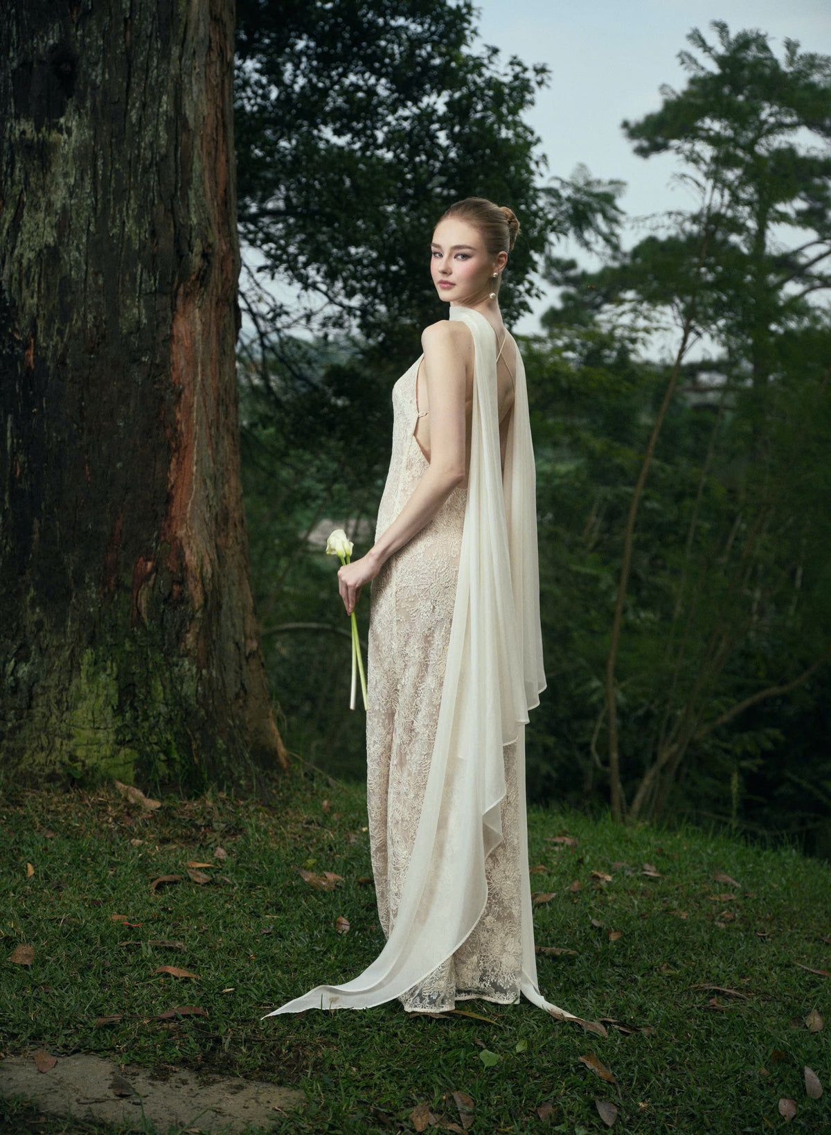 AVELIA LACE DRESS
