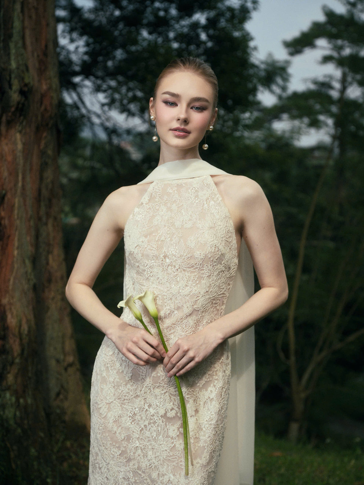 AVELIA LACE DRESS