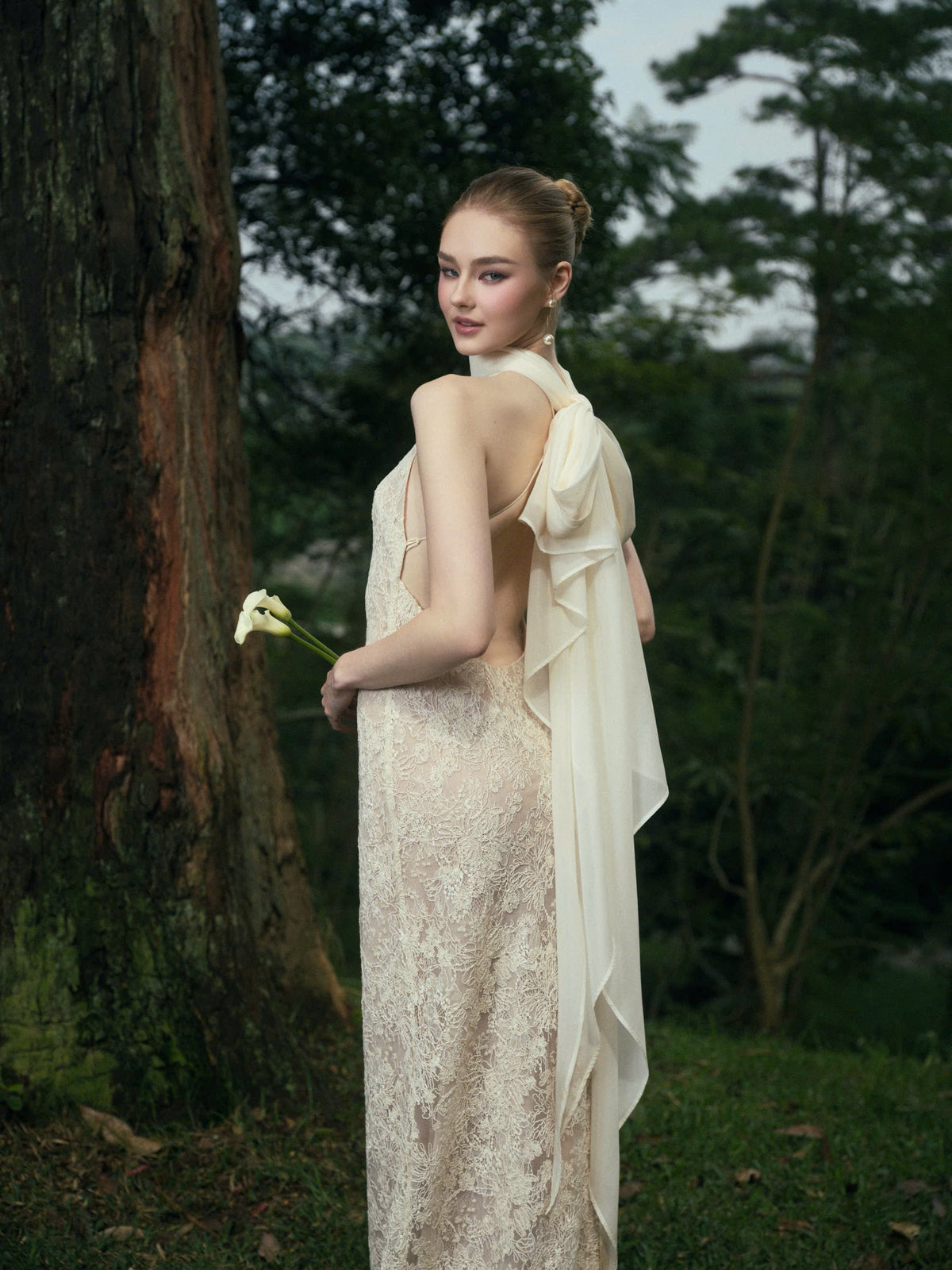 AVELIA LACE DRESS