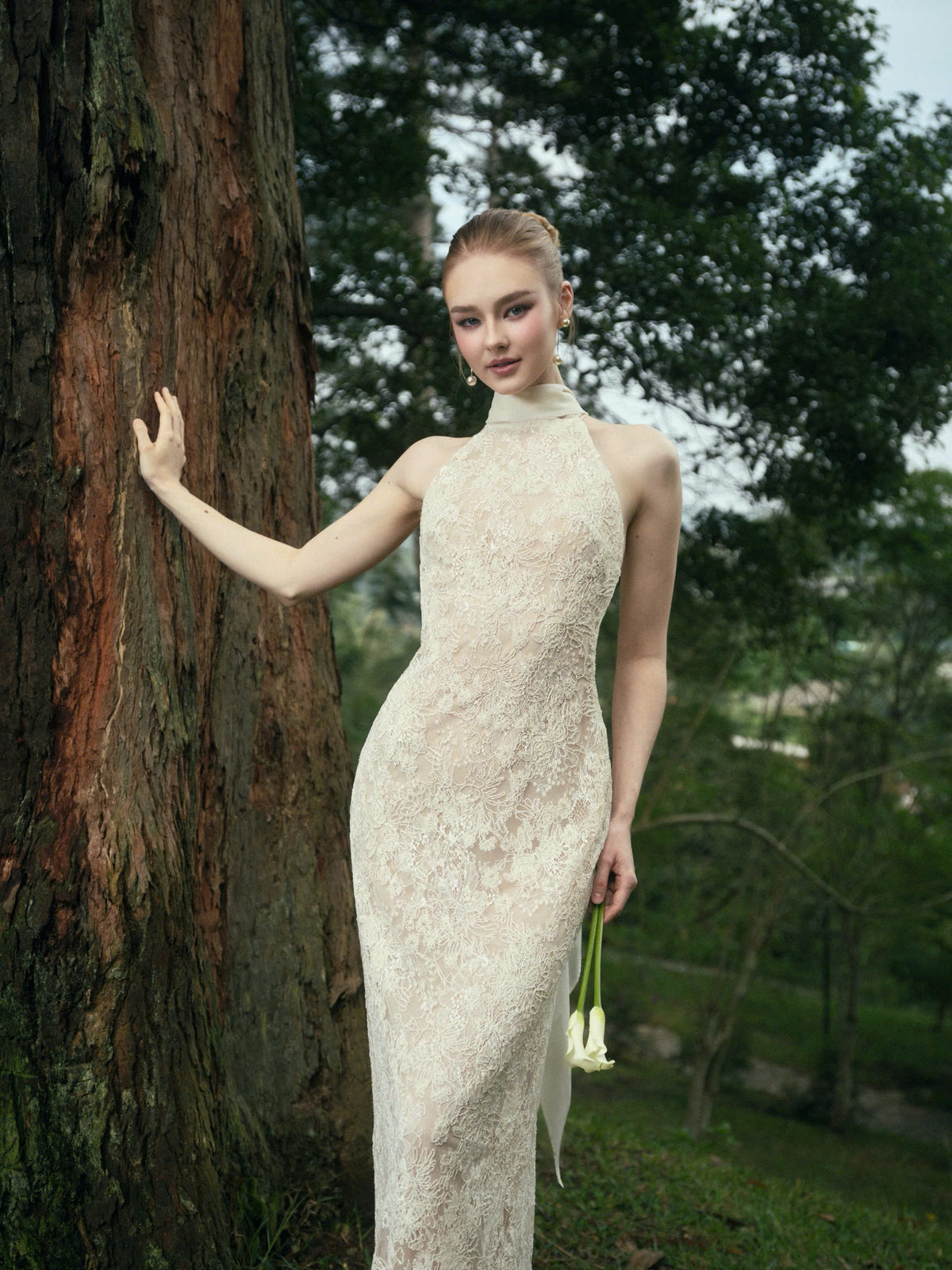 AVELIA LACE DRESS