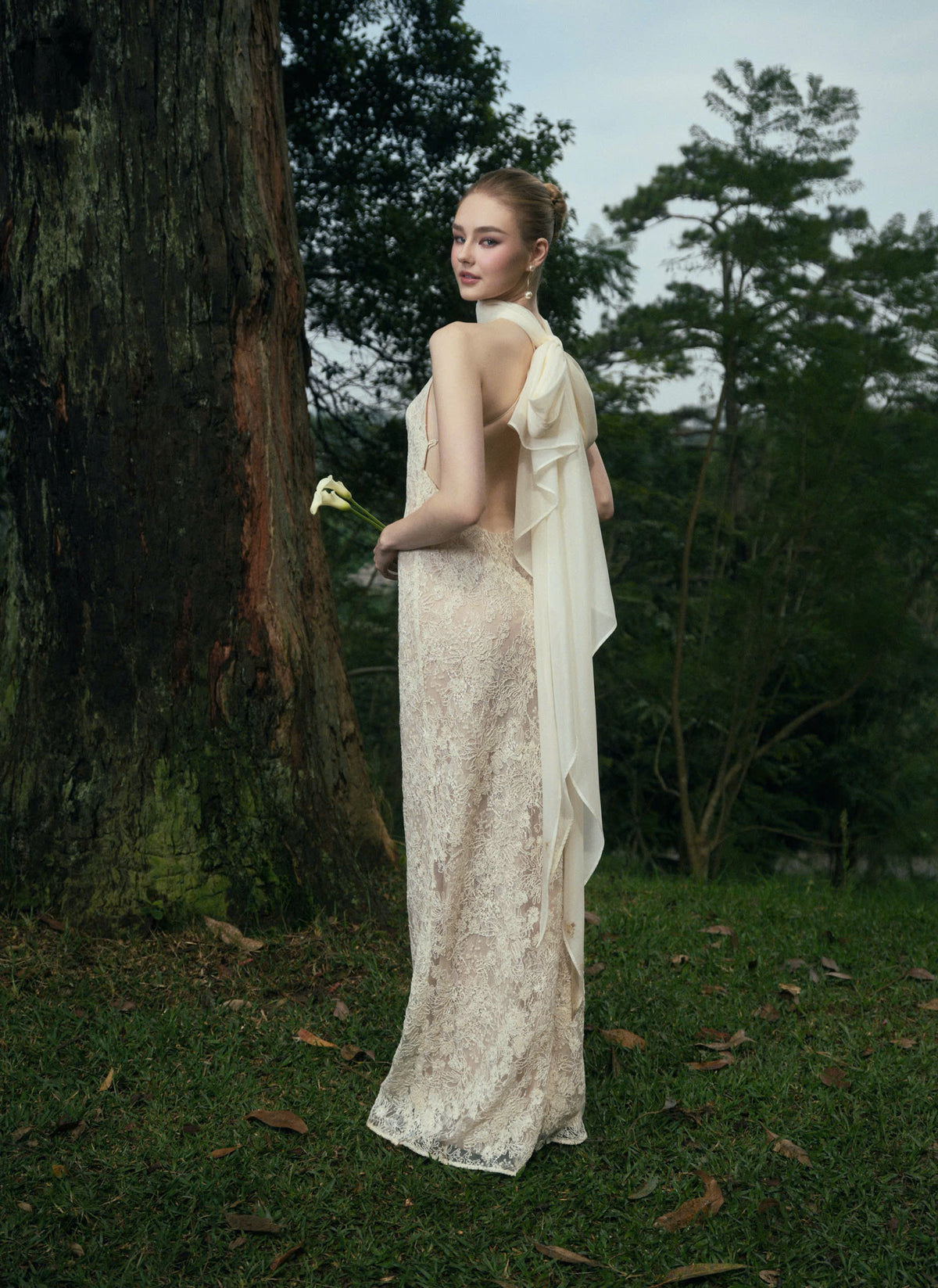 AVELIA LACE DRESS