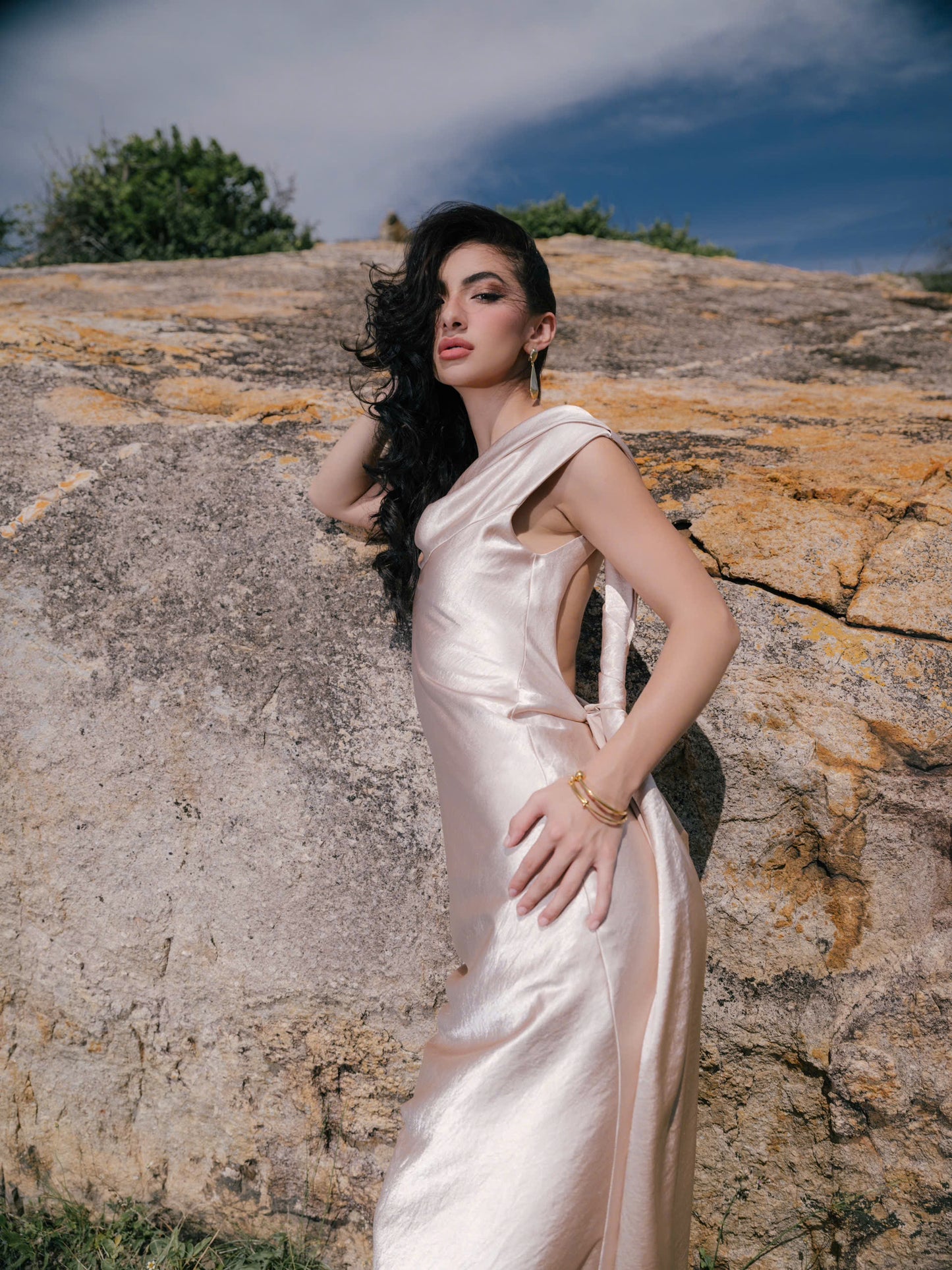 VIONNA DRESS