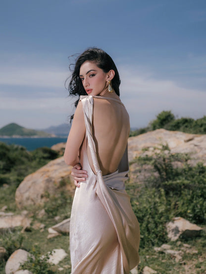 VIONNA DRESS