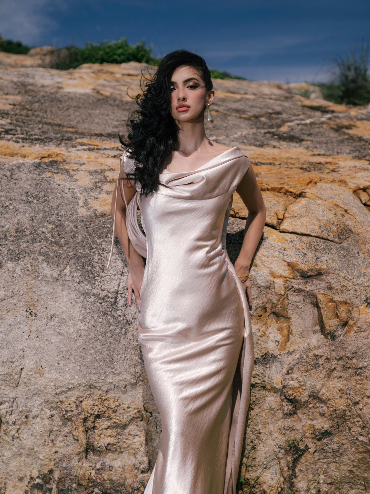 VIONNA DRESS