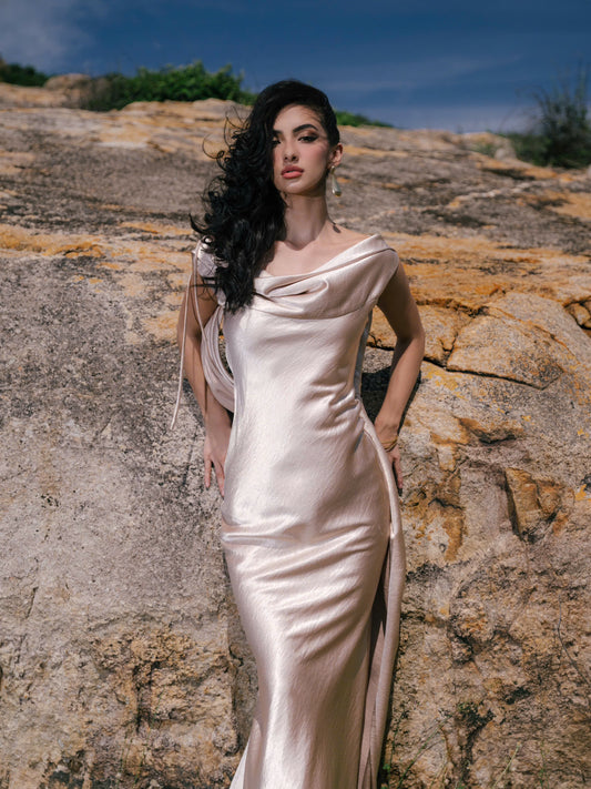 VIONNA DRESS