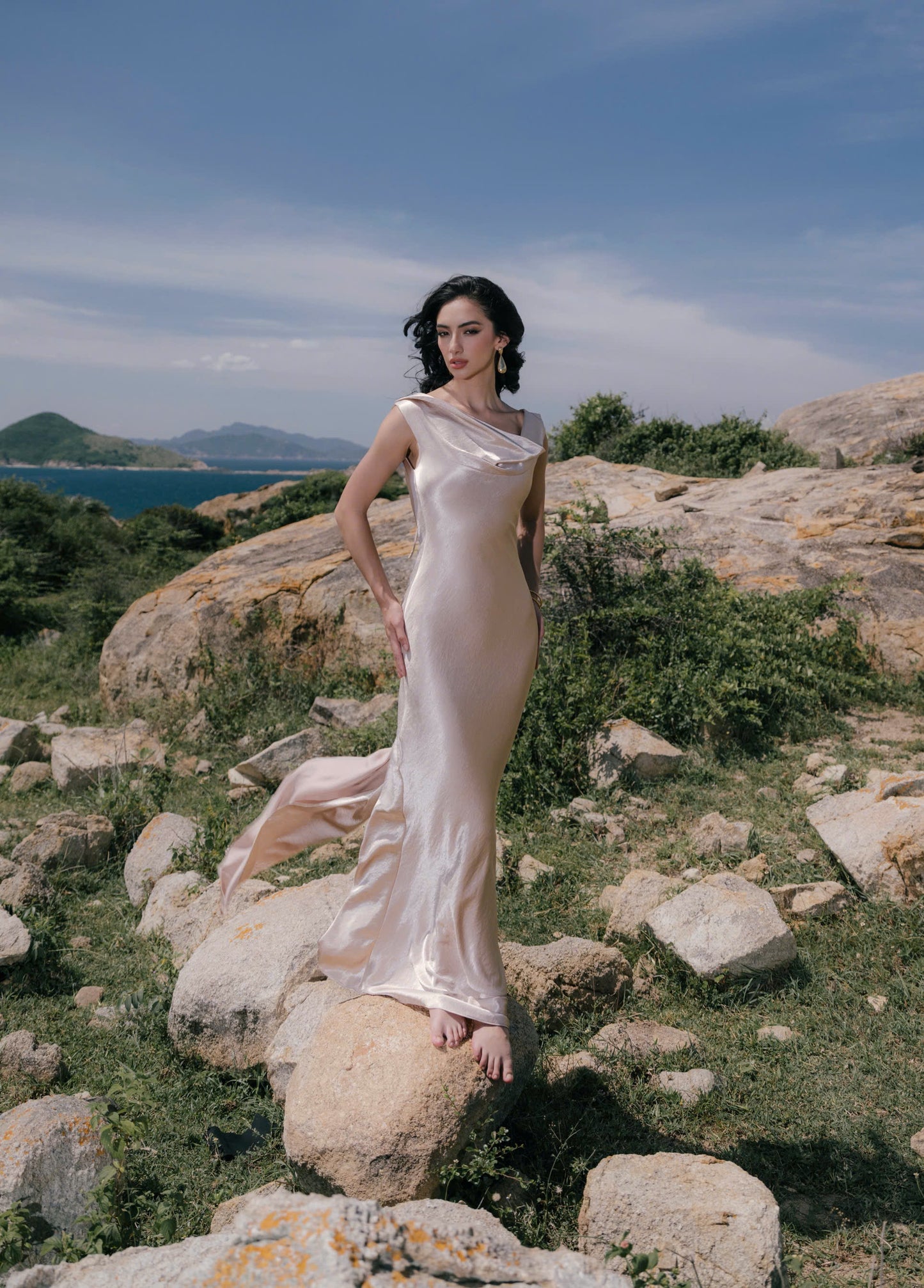 VIONNA DRESS