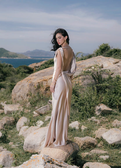 VIONNA DRESS