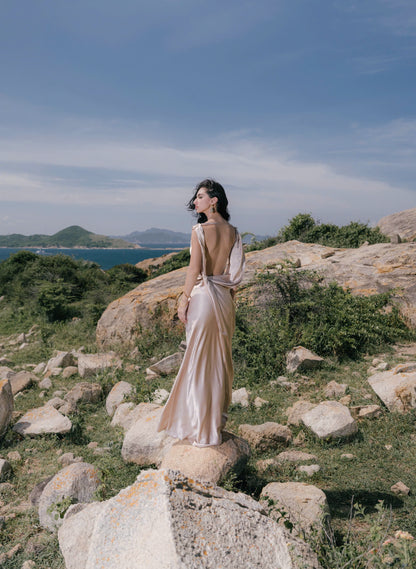 VIONNA DRESS