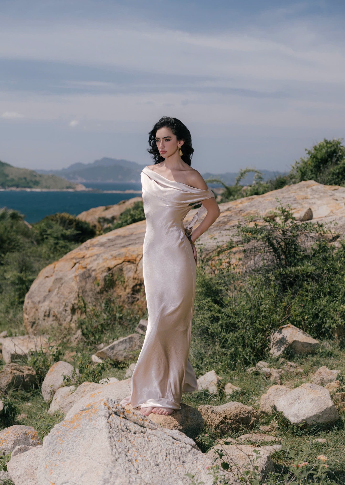 VIONNA DRESS