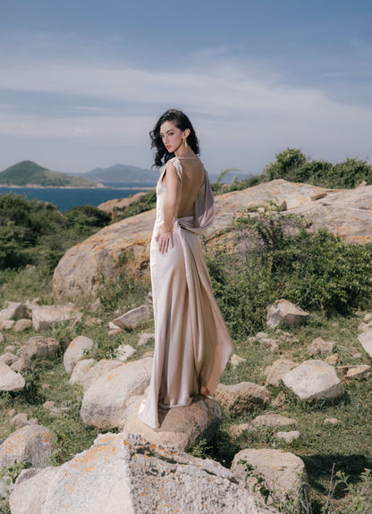 VIONNA DRESS