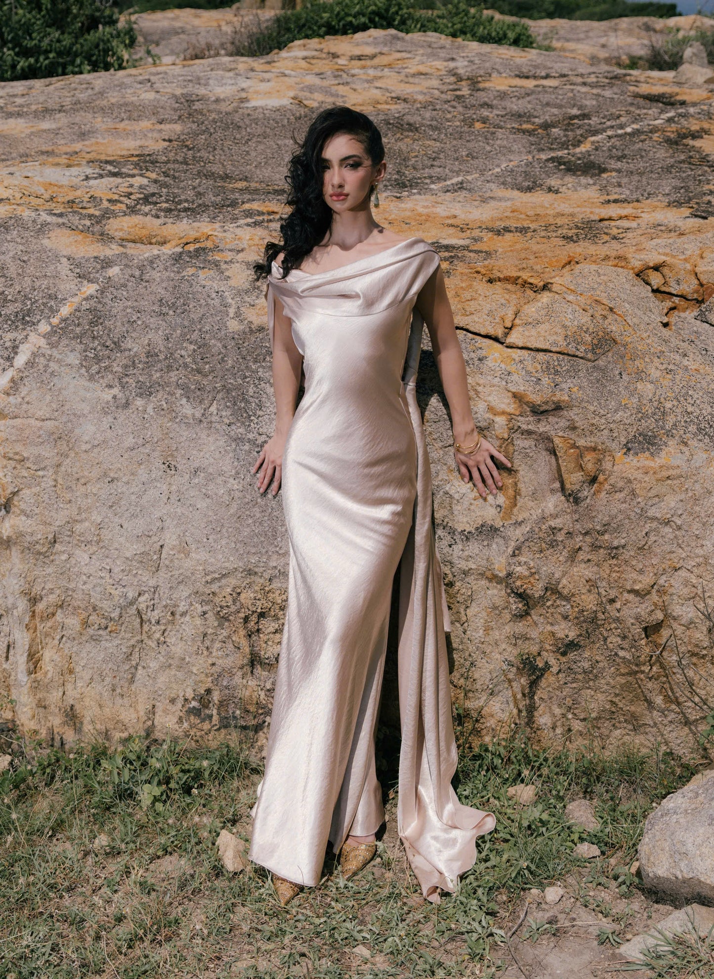 VIONNA DRESS