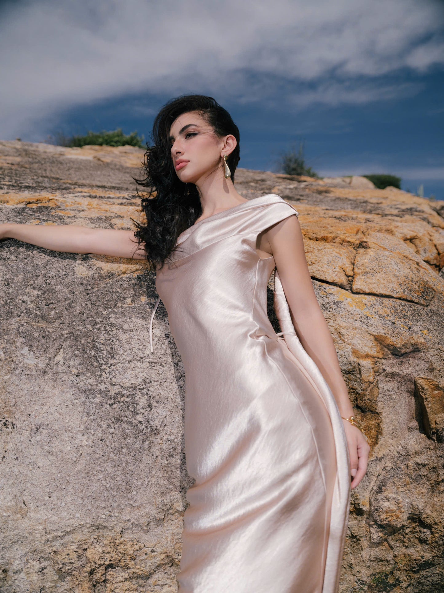 VIONNA DRESS