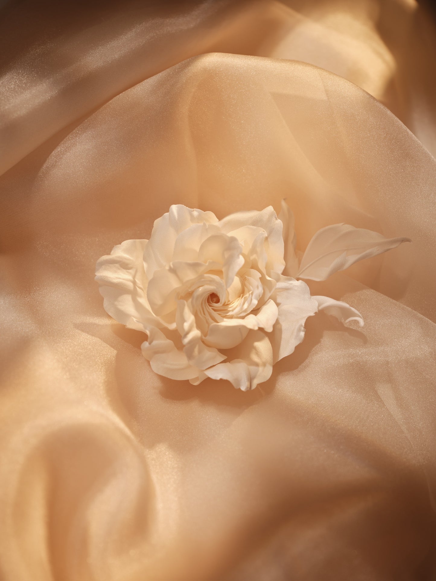 ROSA FLORAL